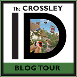 The Crossley Blog Tour